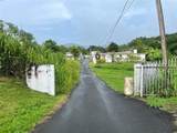 935 Ceiba Norte - Photo 29