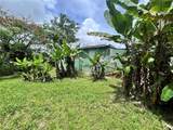 935 Ceiba Norte - Photo 8