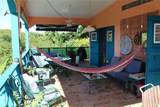 15 Bird's Nest Studios - Photo 13
