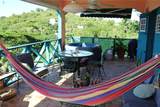 15 Bird's Nest Studios - Photo 14