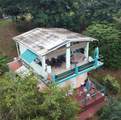 15 Bird's Nest Studios - Photo 20
