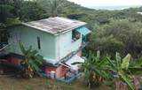 15 Bird's Nest Studios - Photo 21