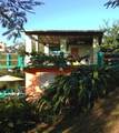 15 Bird's Nest Studios - Photo 31