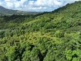 PR 902 Camino Carlos Diaz - Photo 15