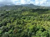 PR 902 Camino Carlos Diaz - Photo 16