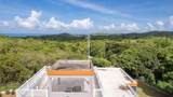 78 Hidden Paradise - Photo 2