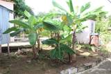 19 Calle Coral - Photo 10