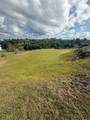  Colinas De Palmarito - Photo 1
