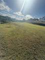  Colinas De Palmarito - Photo 5