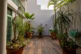 Calle Arecife Dorado Reef - Photo 8
