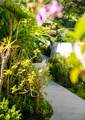 300 Palm Cottages - Photo 37