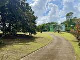 5 Batey Oeste - Photo 16