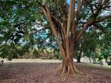 5 Batey Oeste - Photo 19