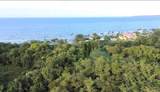  Palmar Novoa - Photo 1