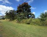  Sector Manantiales, Bo. Sabana Hoyos - Photo 3