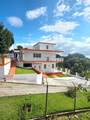 Carr. 4430, Km. 4.8 Barrio Ovejas - Photo 43