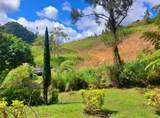 720 Palo Hincado - Photo 1