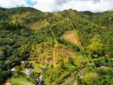 720 Palo Hincado - Photo 10