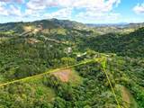 720 Palo Hincado - Photo 12
