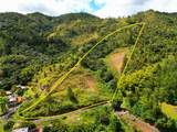720 Palo Hincado - Photo 8