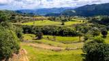 Road 152 Camino Las Orquideas Road - Photo 1