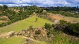 Road 152 Camino Las Orquideas Road - Photo 14