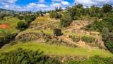 Road 152 Camino Las Orquideas Road - Photo 15