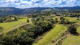 Road 152 Camino Las Orquideas Road - Photo 16