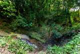 Road 152 Camino Las Orquideas Road - Photo 19