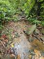 PR 970 Maizales Ward - Photo 10