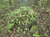 PR 970 Maizales Ward - Photo 11