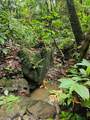 PR 970 Maizales Ward - Photo 13