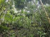 PR 970 Maizales Ward - Photo 14