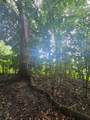 PR 970 Maizales Ward - Photo 22