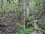 PR 970 Maizales Ward - Photo 28