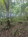 PR 970 Maizales Ward - Photo 3