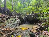 PR 970 Maizales Ward - Photo 4