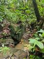PR 970 Maizales Ward - Photo 43