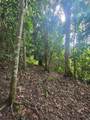 PR 970 Maizales Ward - Photo 5