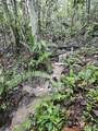 PR 970 Maizales Ward - Photo 6