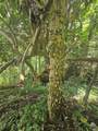 PR 970 Maizales Ward - Photo 8