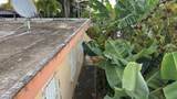 108 Calle Porvenir Comunidad Reparto Mac&iacute;as Bo Lim&oacute;n - Photo 19