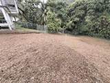  Bo Pitahaya - Photo 1