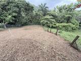  Bo Pitahaya - Photo 6