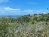 A-1 Finca Vieques - Photo 4