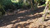 186 Camino Los Reyes - Photo 2