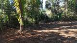 186 Camino Los Reyes - Photo 4
