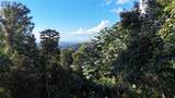 186 Camino Los Reyes - Photo 5