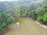 Carr. 115 Sector Soto Road - Photo 47