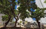 76 Kings Court Street - Photo 1